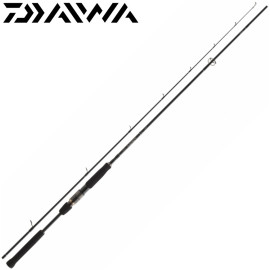 Спиннинг Daiwa Airity Jigger